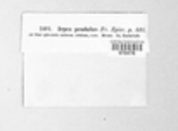 Image Associated With the Occurence